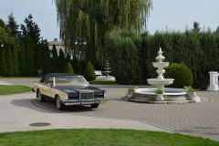 Lincoln Mark VI Bill Blass Designer Series